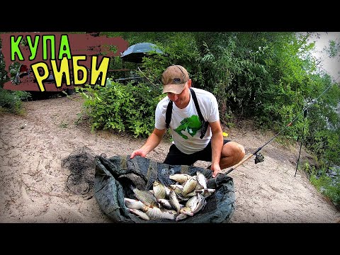 Видео: Повний мат риби! Куди її дівати?!