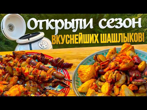Видео: Весенний шашлык из тандыра Атаман