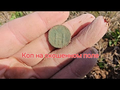 Видео: Коп на скошенном поле