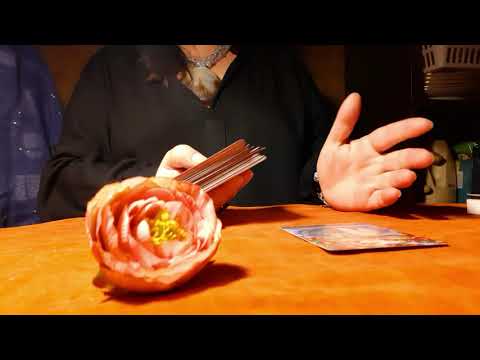 Видео: 🐈Кот потерялся😪Найдётся ли кот?🔮