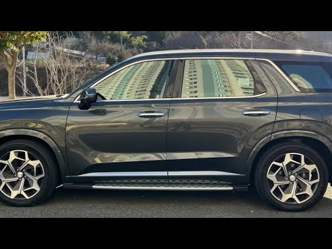 Видео: Осмотр нашим специалистом из Южной Кореи Hyundai Palisade - 2020 года выпуска.