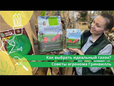 Видео: Как выбрать идеальный газон? Советы агронома Гринвилль.