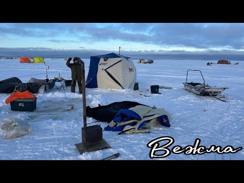 Видео: 🎣Вежма.Унская губа.Белого моря.Февраль 2023г #рыбалка #зимняяловлярыбы #навага #fishing