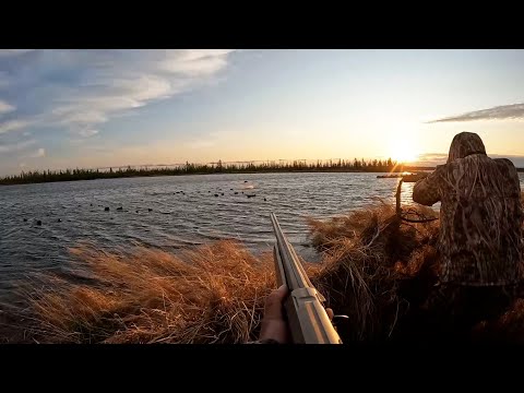 Видео: ОХОТА НА ТУРПАНА НА КОЛЫМЕ 2023 . 5. DUCK HUNTING 2023 IN SIBERIA. KOLYMA/ PART 5