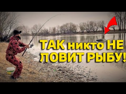 Видео: Вот Этот Рыбалка, так Еще НИКТО не ЛОВИЛ Рыбу  в Камышах, ЗАПОМНИТСЯ на ДОЛГО!!!