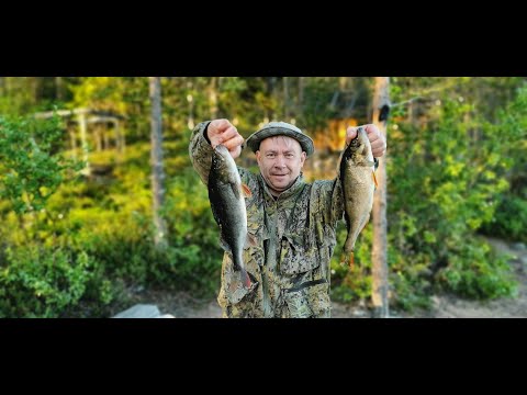 Видео: Тикшозеро, Карелия. Часть1.  Ловим окуня, купаемся в озере