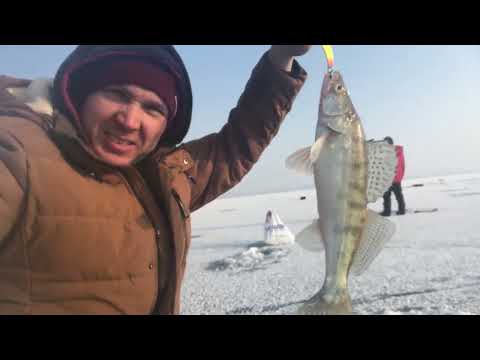 Видео: Зимняя рыбалка на Капчагае 2023. Голубой залив. Коса. Вобла. Конаев. Глухих.