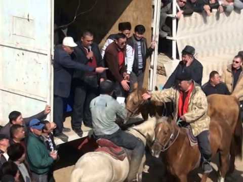 Видео: Кокпар. Ергали (Алги) 50-жас