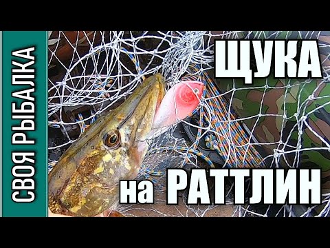 Видео: Щука на раттлин осенью. Рыбалка на Волге по заливам.