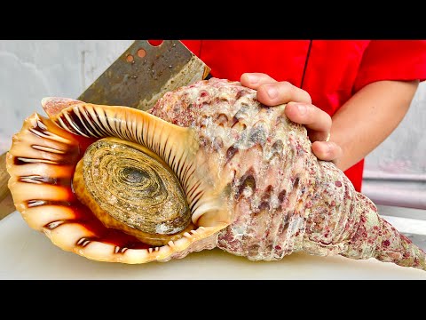 Видео: раковина  Королева морских улиток // vn chef