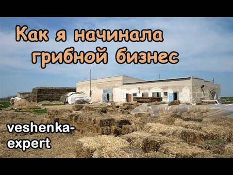 Видео: Как я начинала грибной бизнес. Почему важно знать, сколько денег придется вложить в производство.