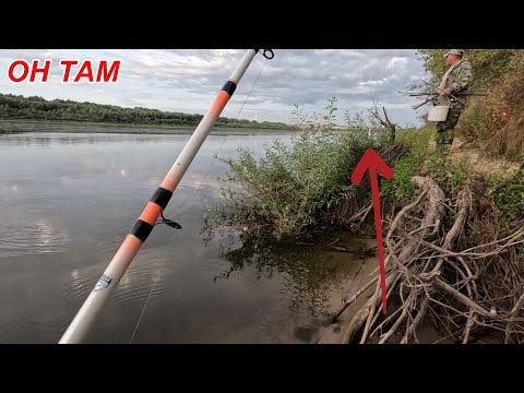 Видео: ВСТРЕТИЛ ХОЗЯИНА РЕКИ! Рыбалка на Оке в конце сентября! ТАКОГО РАНЬШЕ НЕ БЫЛО