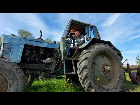 Видео: Культивация на МТЗ-80! Трактор в хозяйстве - вещь нужная!