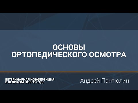 Видео: Основы ортопедического осмотра