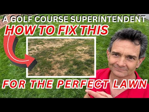 Видео: Почему на вашем дворе каждый год появляются плохие участки