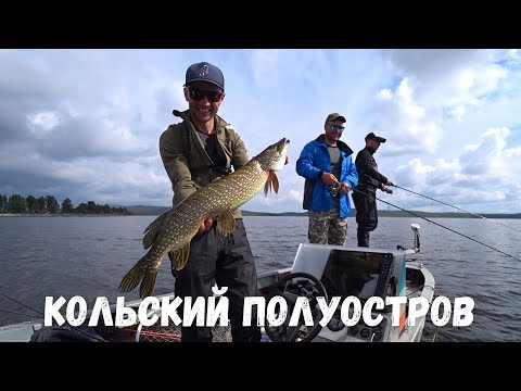 Видео: Кольский! Море рыбы! Чалмозеро, Пиренга, Кумужья Салма!