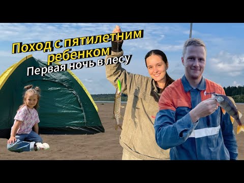 Видео: Выходные в деревне🏕. Первая ночь с ребёнком в палатке. Грибы, рыбалка, поход.