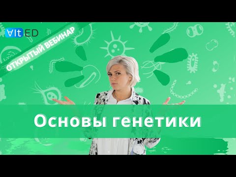 Видео: Основы генетики