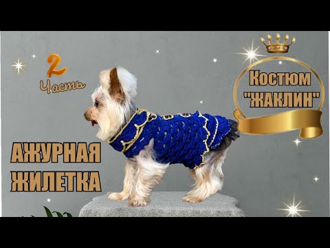 Видео: Мастер класс 2 часть: Вязаный костюм 'Жаклин' для собак крючком