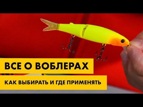 Видео: Все о воблерах - как выбрать, где применять, какие бывают