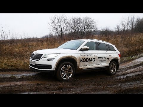 Видео: Skoda Kodiaq 4x4 TDI БЕЗДОРОЖЬЕ не проблема