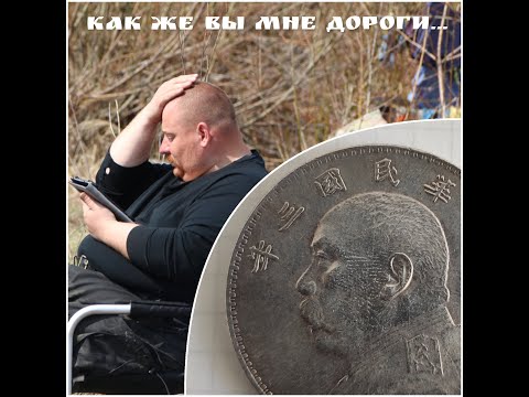 Видео: Шикайный Шикай