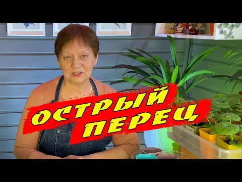 Видео: Ранний посев ОСТРОГО ПЕРЦА.