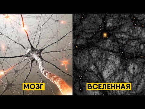 Видео: Вселенная - это живой организм?