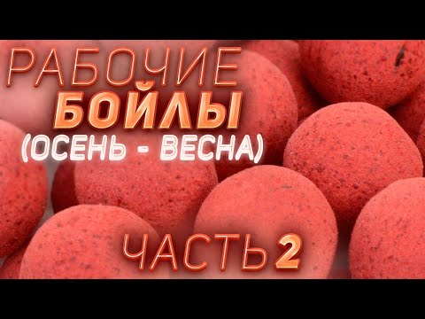 Видео: РЕЦЕПТ: РЕАЛЬНО РАБОЧИЕ БОЙЛЫ (ОСЕНЬ - ВЕСНА) | ДОКАЗАНО РЫБАЛКОЙ!! | ЧАСТЬ 2