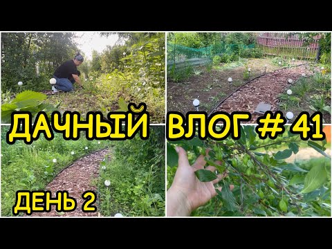 Видео: 🏡 ДАЧНЫЙ ВЛОГ #41: ДЕНЬ 2 / МАСШТАБНАЯ ПРОПОЛКА УБОРКА УЧАСТКА / РАБОТЫ В САДУ ПЛАНЫ НА ДАЧНЫЙ СЕЗОН