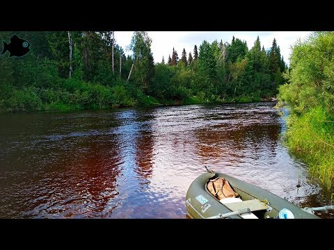 Видео: глухая тайга #2 СПЛАВ, РЫБАЛКА / день первый