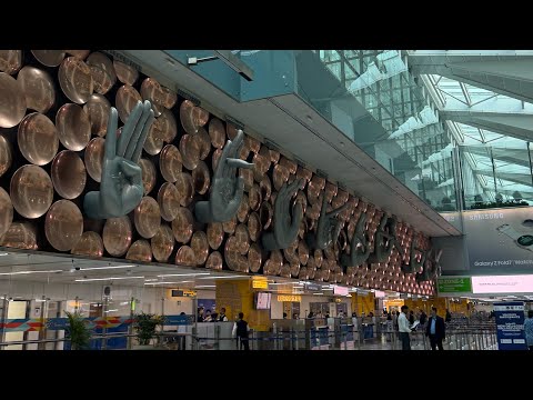 Видео: Алгоритм действий в аэропорту Дели. Для тех, кто едет в Индию в первый раз 