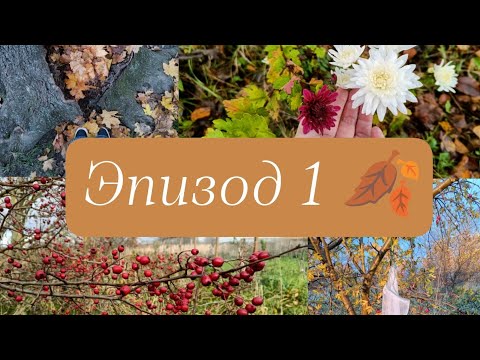 Видео: Эпизод 1. Наводим порядок, делаем новые места для хранения