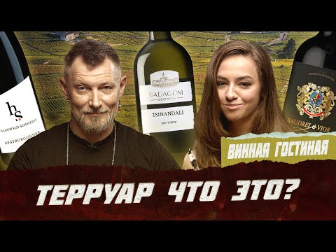 Видео: Что такое терруарное вино? | Фрейтак вино