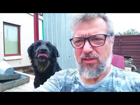 Видео: Ни поныть не получилось, ни поздравить себя с Днём Рождения... Зато, Бумочку хорошо видно!