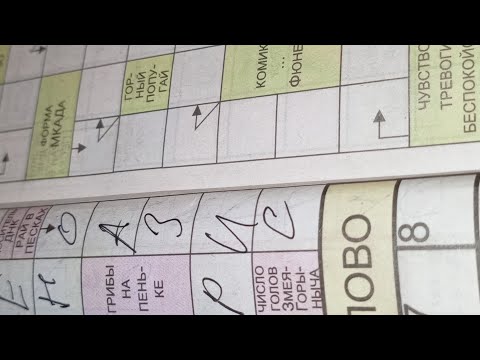 Видео: INASIO в прямом эфире!