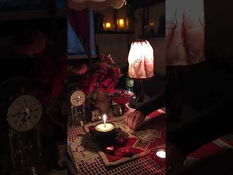 Видео: Вы Его Замучили Будет думать   что в Вами Делать 