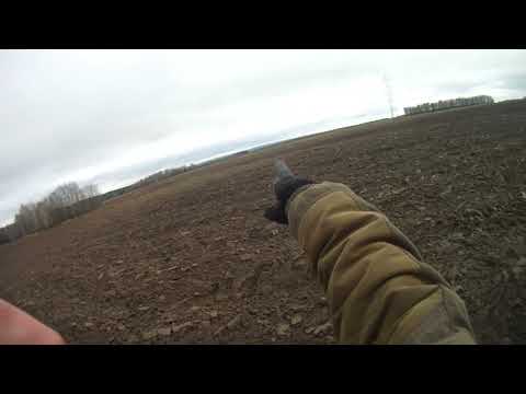 Видео: Сезон охоты на зайца 2022 - 2023 года по чернотропу с Фаготом!