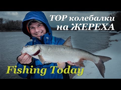 Видео: Ловля жереха на спиннинг. Какие блесны работают - Fishing Today