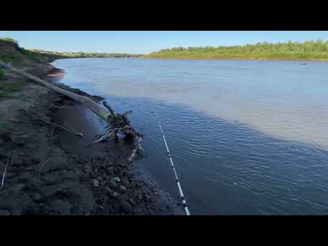 Видео: Рыбалка на Спиннинг на р.Урал , прогулка поберегу