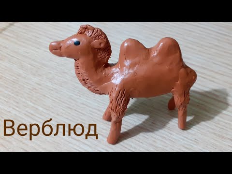 Видео: Лепим верблюда