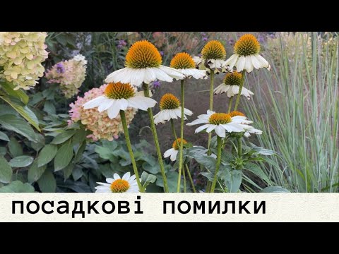 Видео: Огляд трав і плани на пересадки рослин 
