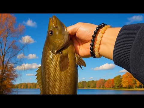 Видео: ТАКИХ ЛИНЕЙ-не каждый день увидишь!! АПРЕЛЬСКИЙ ЛИНЬ!Рыбалка в красивом месте.