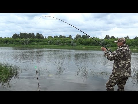 Видео: Ловля на Короткие Поводки! Рыбалка на Леща! Рыбалка на Донки на Оке!