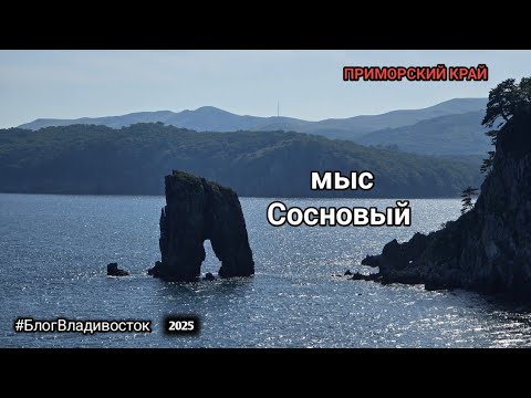 Видео: Райское место в Приморском крае, мыс Сосновый #БлогВладивосток ищи в телеграмм 