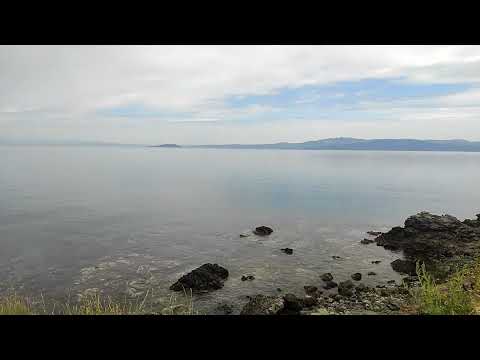 Видео: Разходка до края на ръкава