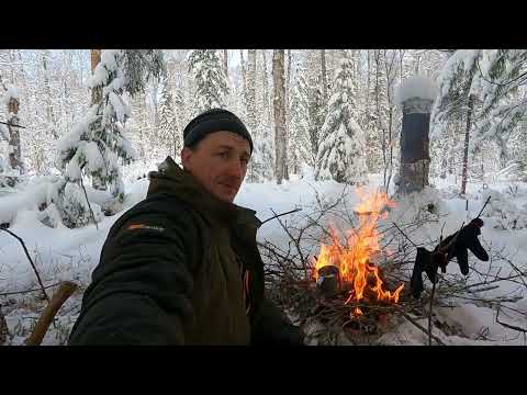 Видео: Охота на соболя