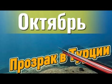 Видео: Турция. Подводная охота в Средиземке — пусто? Или просто нужно знать где искать!