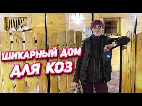 Видео: НЕОЖИДАННАЯ неприятность с трактором! Показываем козлятник | Молодая Ферма