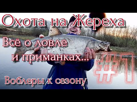 Видео: ОХОТА НА ЖЕРЕХА | ВОБЛЕРЫ К СЕЗОНУ 2021 | DUEL | SMITH | ZIPBAITS | FISHING